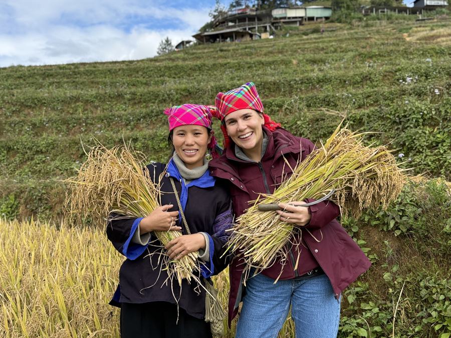Harvest with a guest