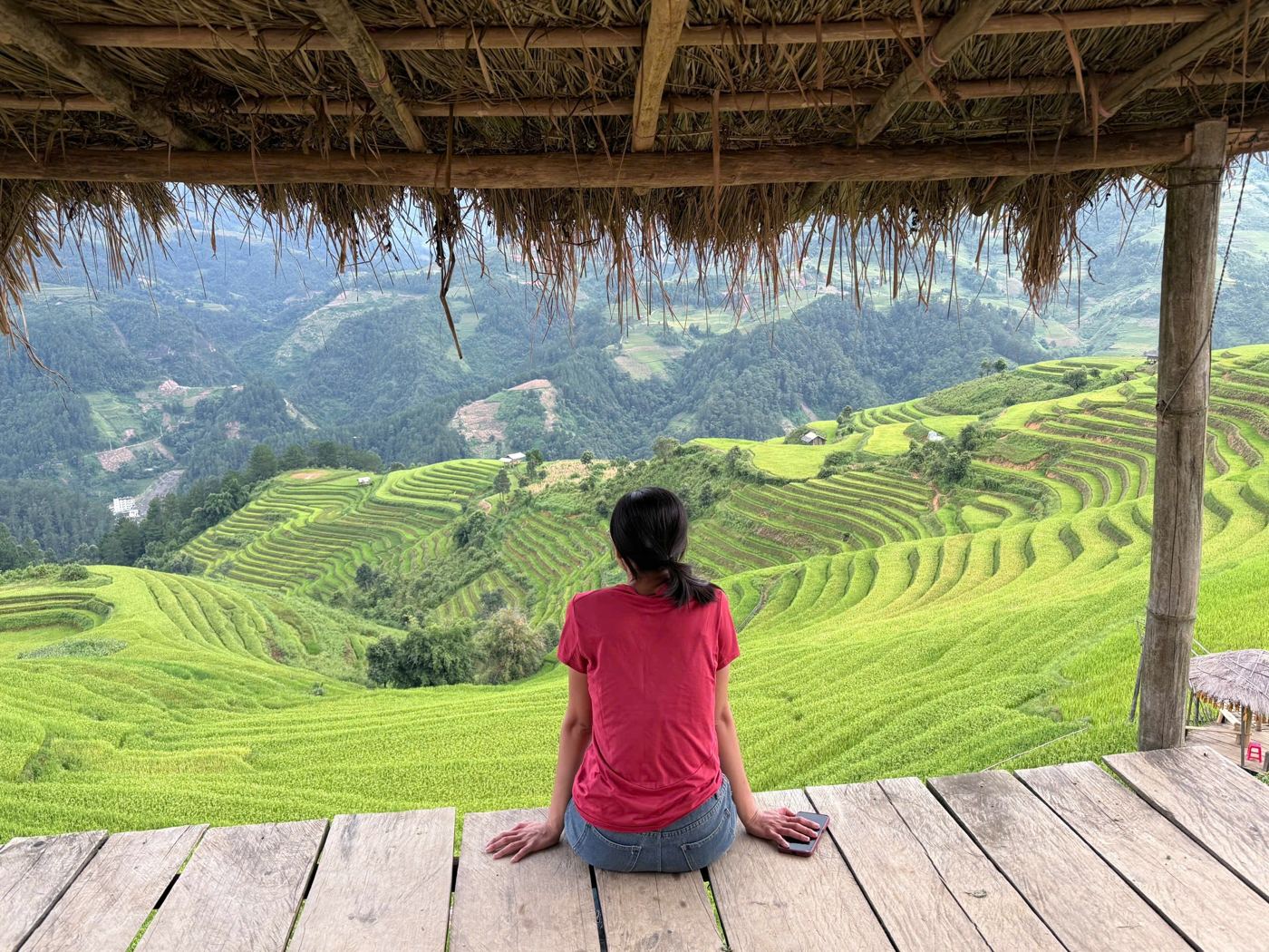 Terraces seen from a wooden hut